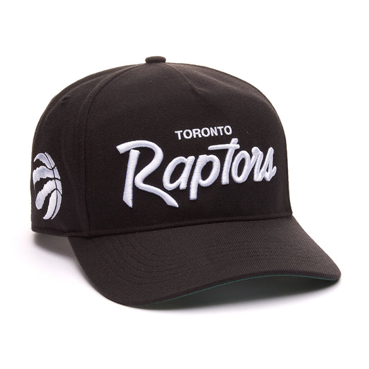 Toronto Raptors Hat - Attitude 47 Hitch